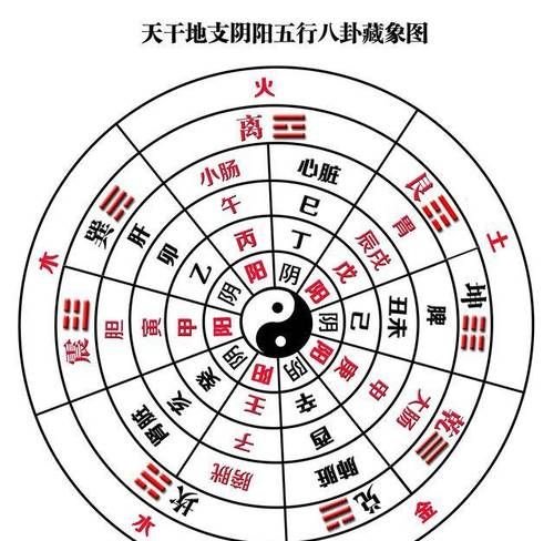 怎么查自己的五行八卦,怎么看自己八字五行属什么图4