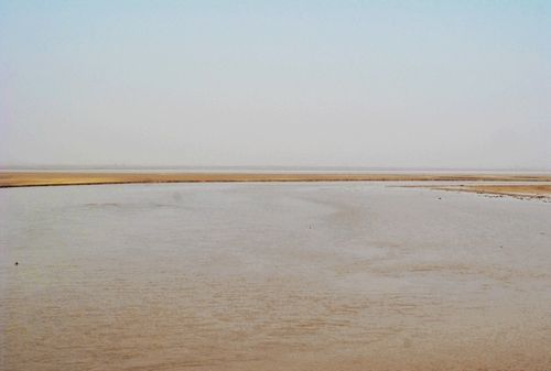 已婚女人梦见黄河水很大,梦见下雨水灾是什么意思图4