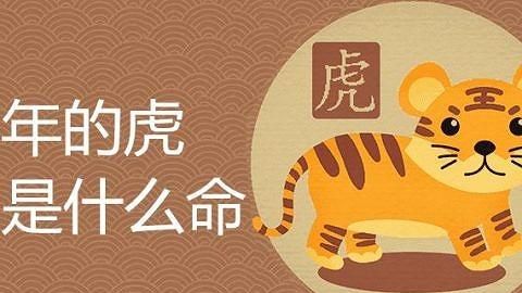 86年的虎男运势,86年属虎人2023年运势如何图4