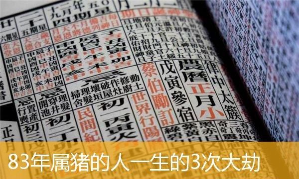 83年猪今年有牢狱之灾,83年属猪的什么时候有好运图2