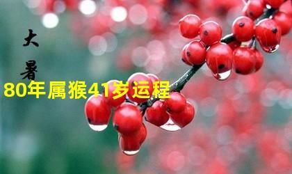 80年属猴人运势如何,属猴的人一生的命运是怎么样的图1