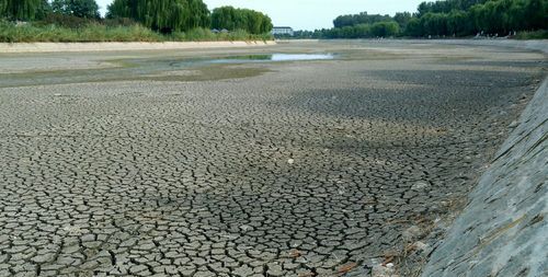 女人梦到干枯的河,梦见池塘水干了在捉鱼图1