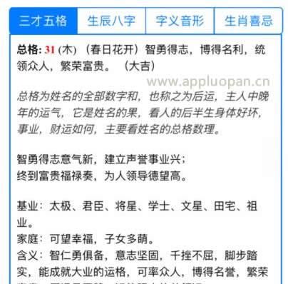 姓名八字三才五格免费测试,免费姓名评分测试打分图4