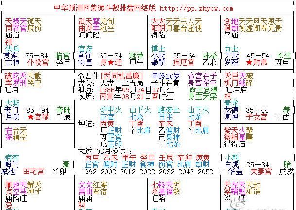 查询命格最准的,最准八字排盘详解免费图4