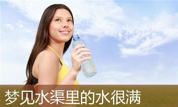 梦见多条渠道流的水很,孕妇梦见水流很大是什么意思?图2