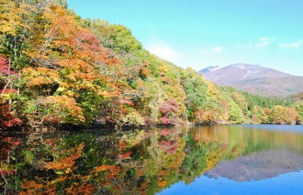 梦见去了日本看见很美的景色,梦见去国外旅游风景很美图3