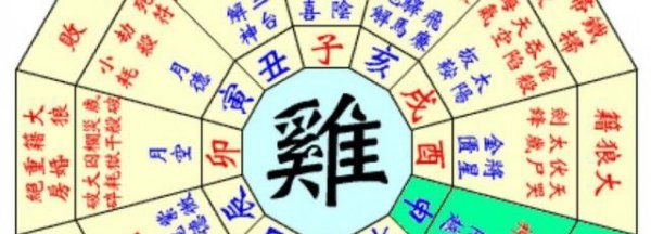 一分钟看懂八字排盘,如何看八字命盘图4