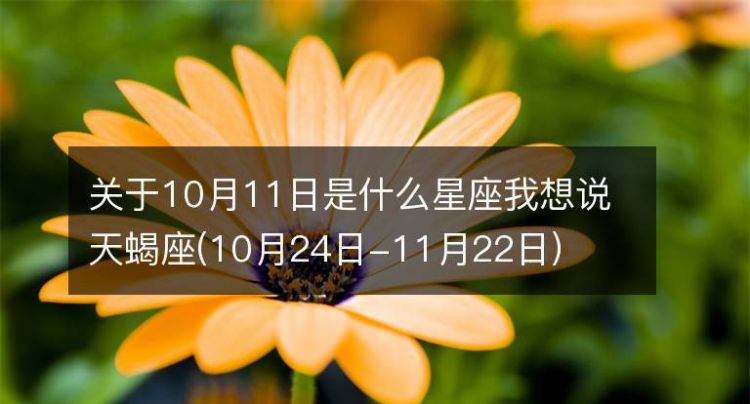 94年7月日是什么星座,农历7月1日是什么星座图1