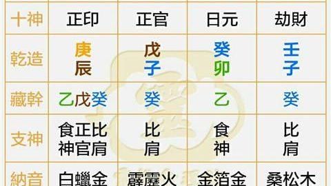 怎么看懂自己的八字排盘,八字排盘宝免费版下载图2