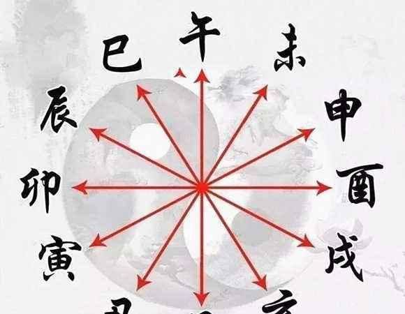 乙亥日亥月大贵命例,月柱是乙亥代表什么意思图1