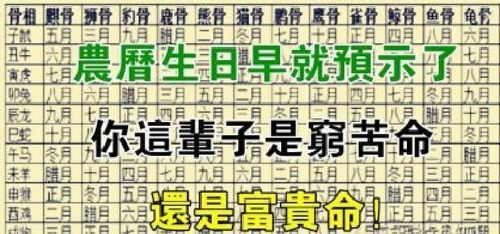 99年农历2月4出生的命,1999年2月3日属什么生肖图4