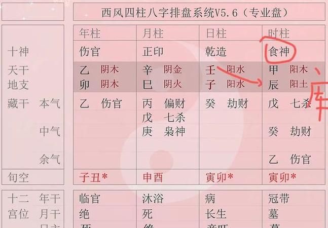 男命日坐食神疼老婆,八字日支食神看配偶图4