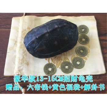 龟壳金钱卦在线占卜,为什么用龟壳占卜图1