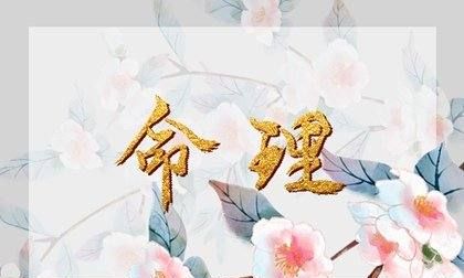 癸水生于午月富贵八字,农历5月2日出生的图2