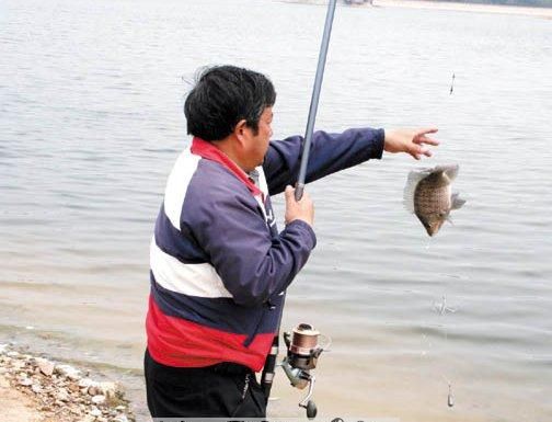 梦见别人抓了一条大鱼是什么意思,梦见别人抓了一条大鱼是什么意思图4