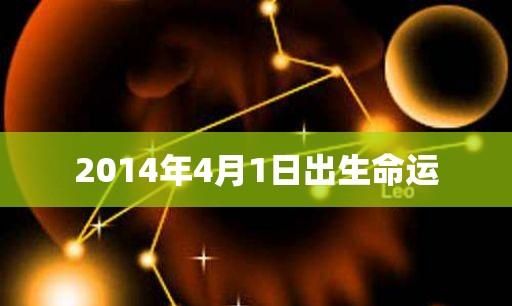 农历九月三十出生的人是什么命2008年