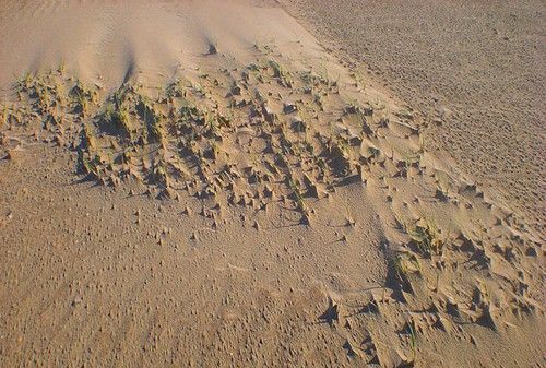 梦见自己躺在泥土里是什么预兆呢