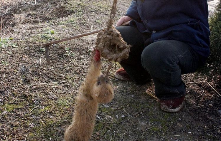 高人汇免费算命