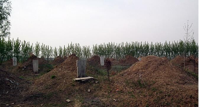 农村看坟地绝招 记住这些你就是位阴阳先生