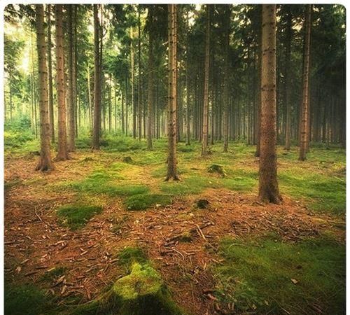 梦到睡在野外地上好吗