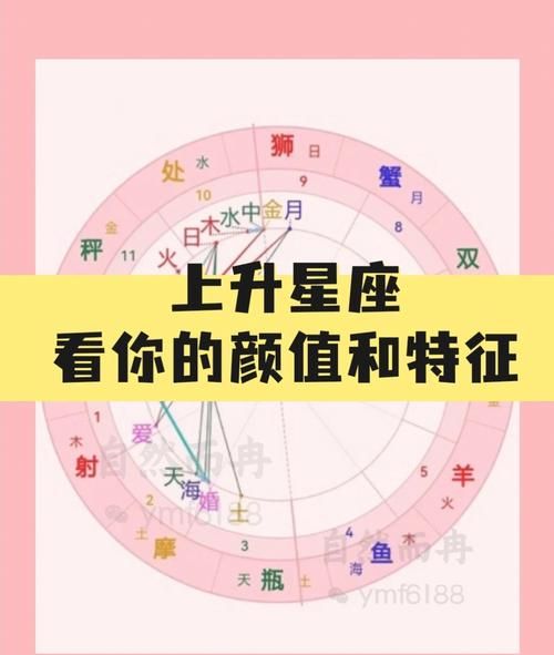 星盘看你正缘外貌蛋壳