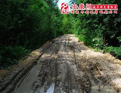 梦见在稀泥道路中行走