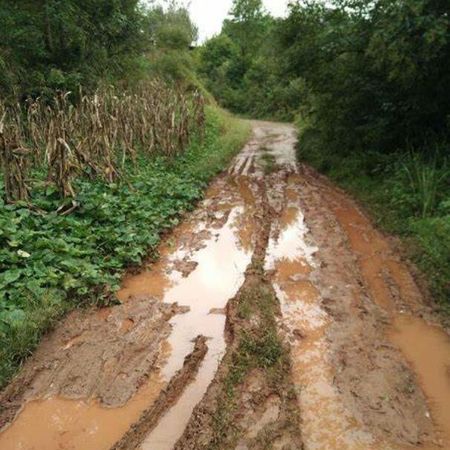 已婚女人梦见道路泥泞难走想开车