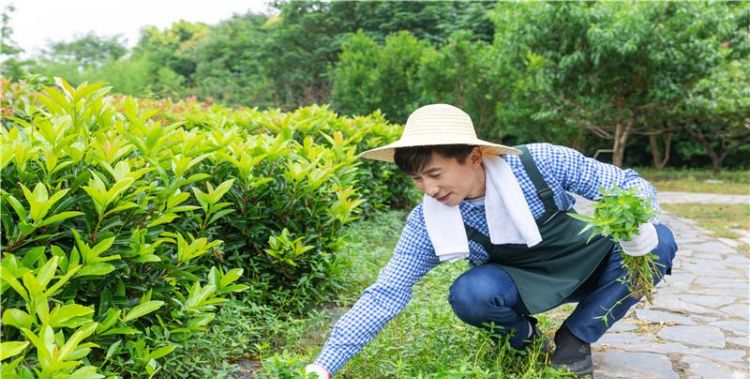 梦见侄子是什么意思,好不好,代表什么