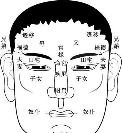 面相十二宫详解图