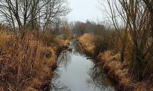 梦见沟里水流很大是什么预兆