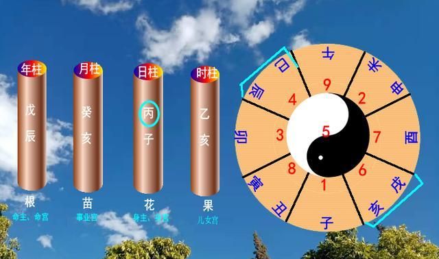 阳历8月24日出生的人是什么星座