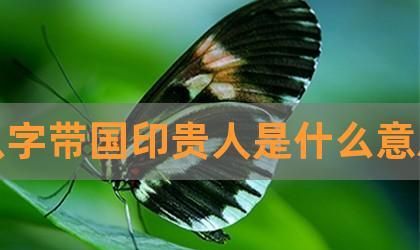 福星贵人是什么意思