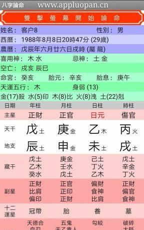 沙中土命是什么意思啊