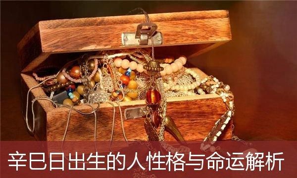 三命通会 辛巳日不同时辰生人的命运解析