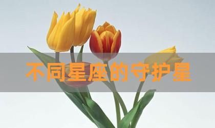 天蝎座为什么有两个守护星座