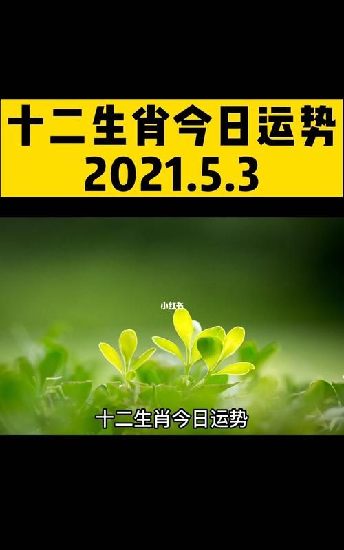 每日运势查询 0月2日特吉生肖运势图