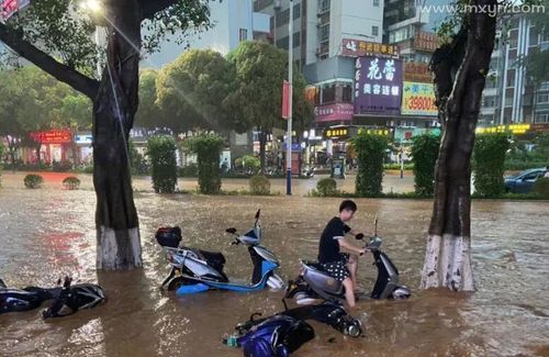 梦见下雨水漫过脚背