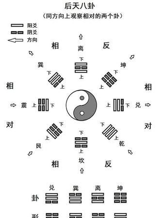 倪海厦紫微斗数如何排盘