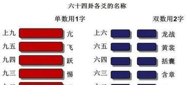 数字卦中变爻是什么意思