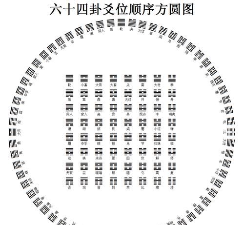 卦的动爻和变爻区别