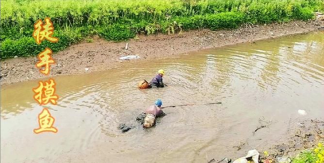 梦见河水干涸露出河床抓鱼