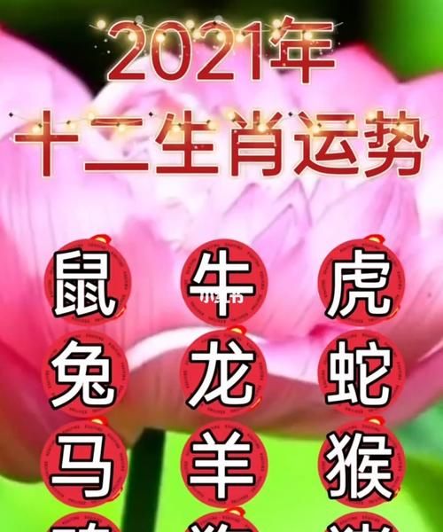 生肖牛每月运势详解