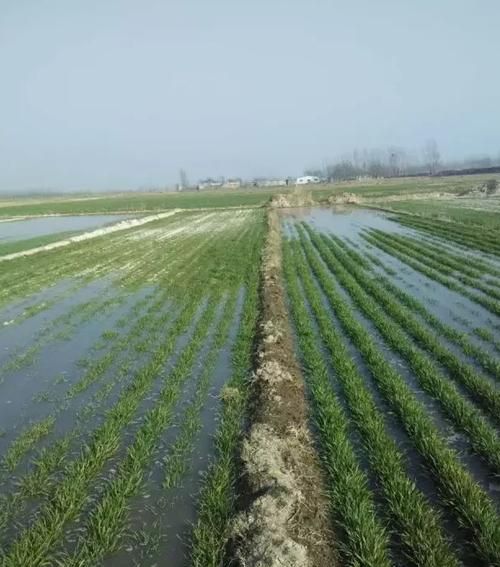 梦见浇地水都跑了