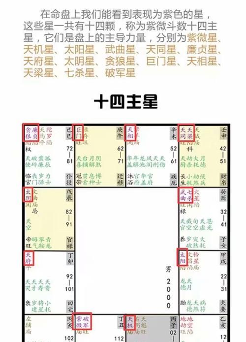 紫微斗数运势查询