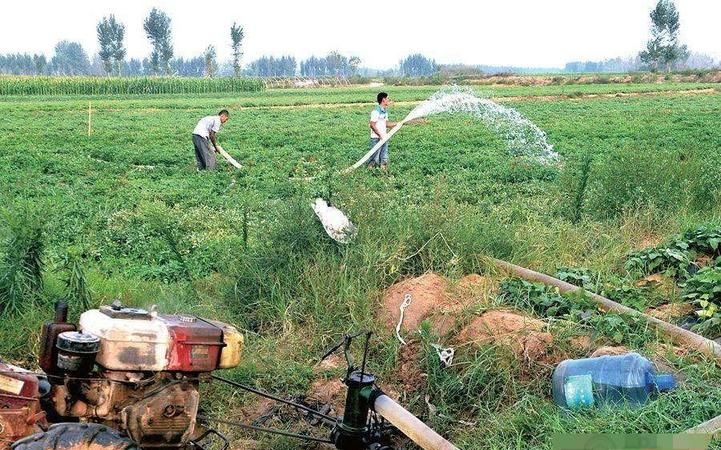 家庭主妇梦见浇麦地跑水什么意思