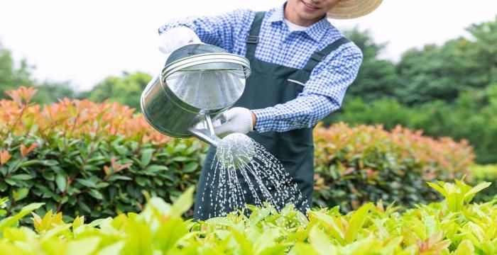 女人梦见浇地跑水了是什么意思啊