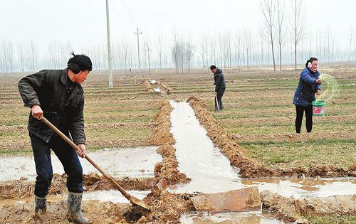 梦见放水浇地水突然没有了什么意思