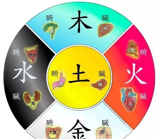 生辰八字金木水火土查询表