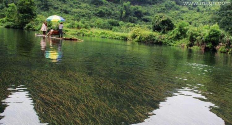 梦见清清的河水流动着,还有一条鱼