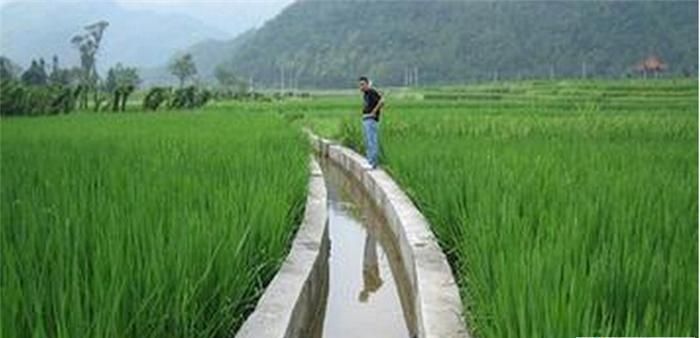 梦到帮别人浇地预示什么意思